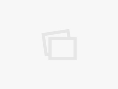 MOODLE Server überlastet